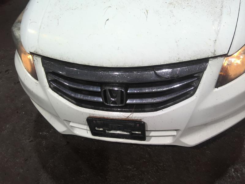 2012 Honda Accord WHITE Photo 6