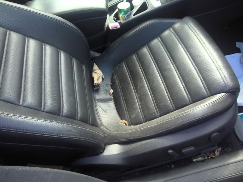 2012 Volkswagen Volkswagen CC GRAY Photo 2