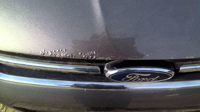 2013 Ford Escape GRAY Photo 4